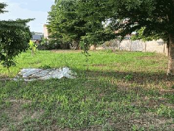 ขายที่ดินเมืองพะเยา บ้านต๋อม เนื้อที่ 400 ตรว. โฉนดพร้อมโอน ใกล้ศาลากลางพะเยา 1 กม. โทร 0817830178